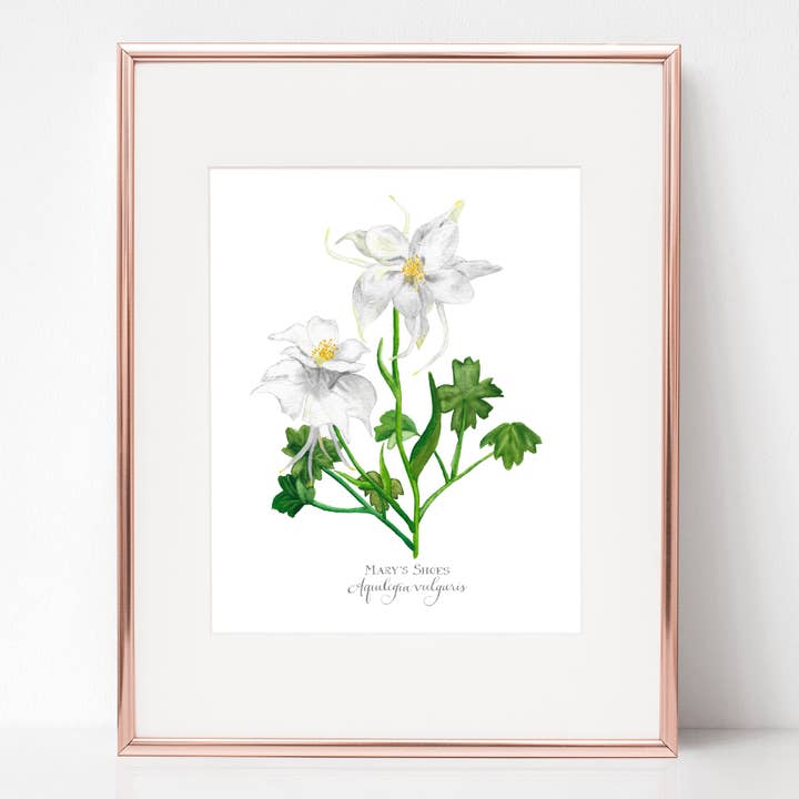 DE VISITATIE, MARIA'S SHOES, Aquilegia vulgaris voor wholesale door Rose Harrington