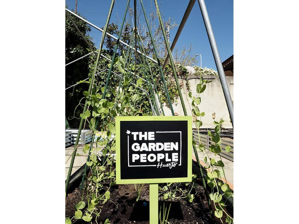 JARDIN Y NATURA OUTDOOR & GARDEN PRODUCTS SL - Wholesale Trellis - Support for climbing plants - UPBEANS4