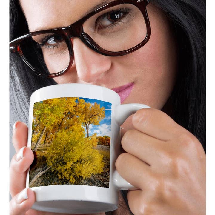 3dRose - Wholesale Coffee Mug - 3dRose, USA, New Mexico, Sandoval County. Cottonwood trees. Autumn., Mug9