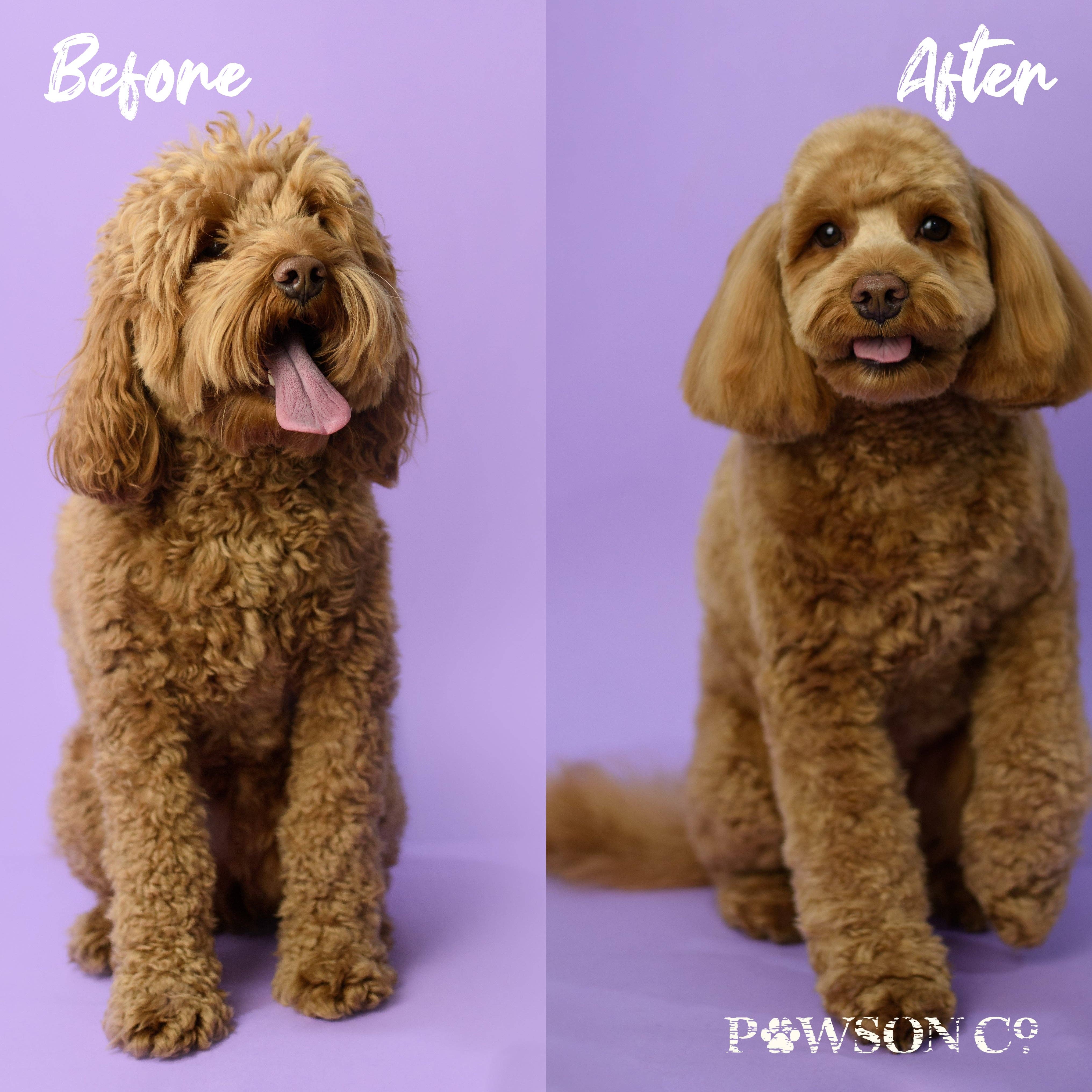 Viori Beauty - Wholesale Pet Shampoo - Dog - Pet Shampoo Bar | Pawson & Co. | Cherry Blossom4