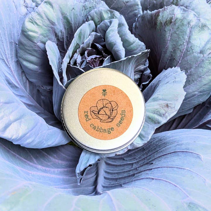 Plantflix - Wholesale Plant Seeds - Organic Vegetable Seed Gift Tins5