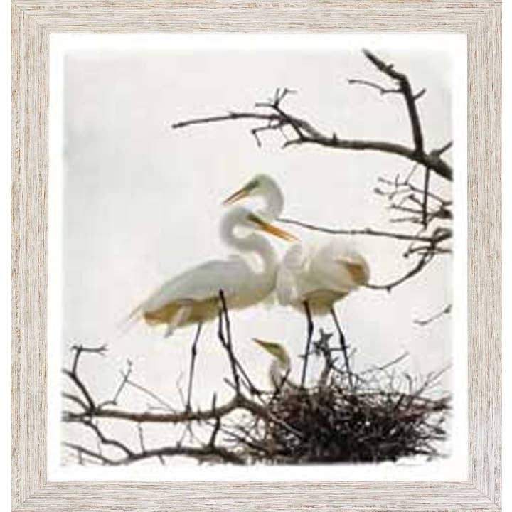 17581 voor wholesale door Coastline Art