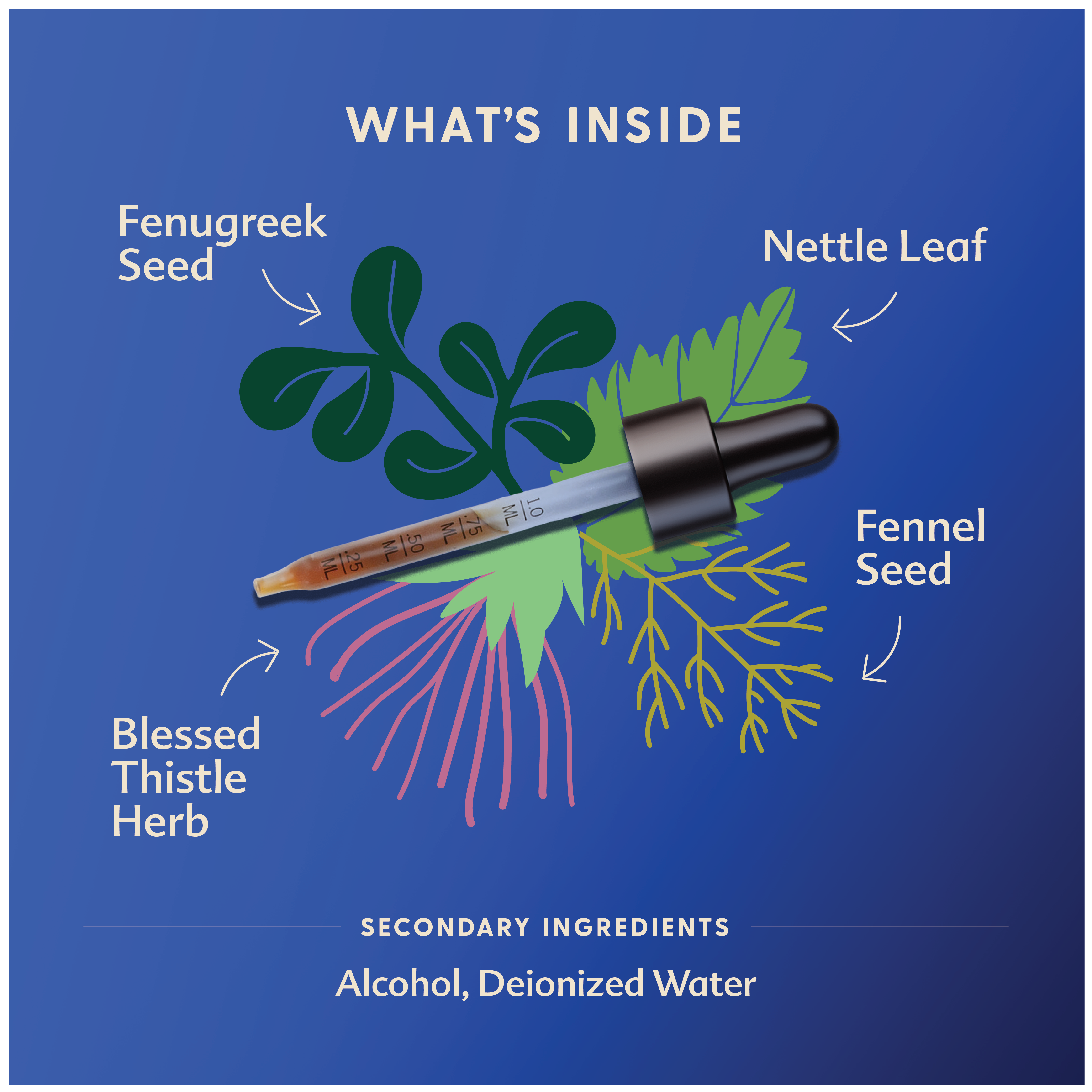 Motherlove - Wholesale Nursing Tea - Maternity - More Milk Plus Tincture4