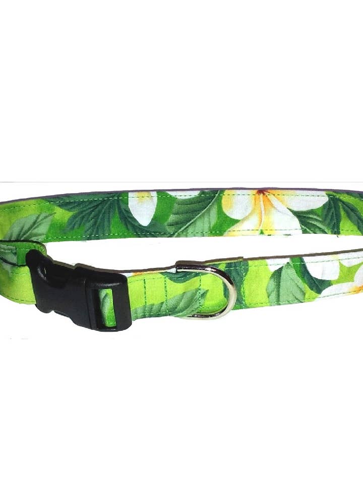 Collar de perro ajustable de tela hawaiana, «Plumeria Lime» para venta al por mayor de Dog Gone Hawaiian