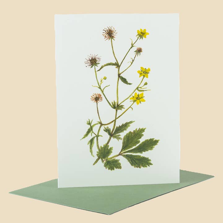 Sophia Davenport - Wholesale Everyday Greeting Card - Wildflower Greeting Cards and Notelets30