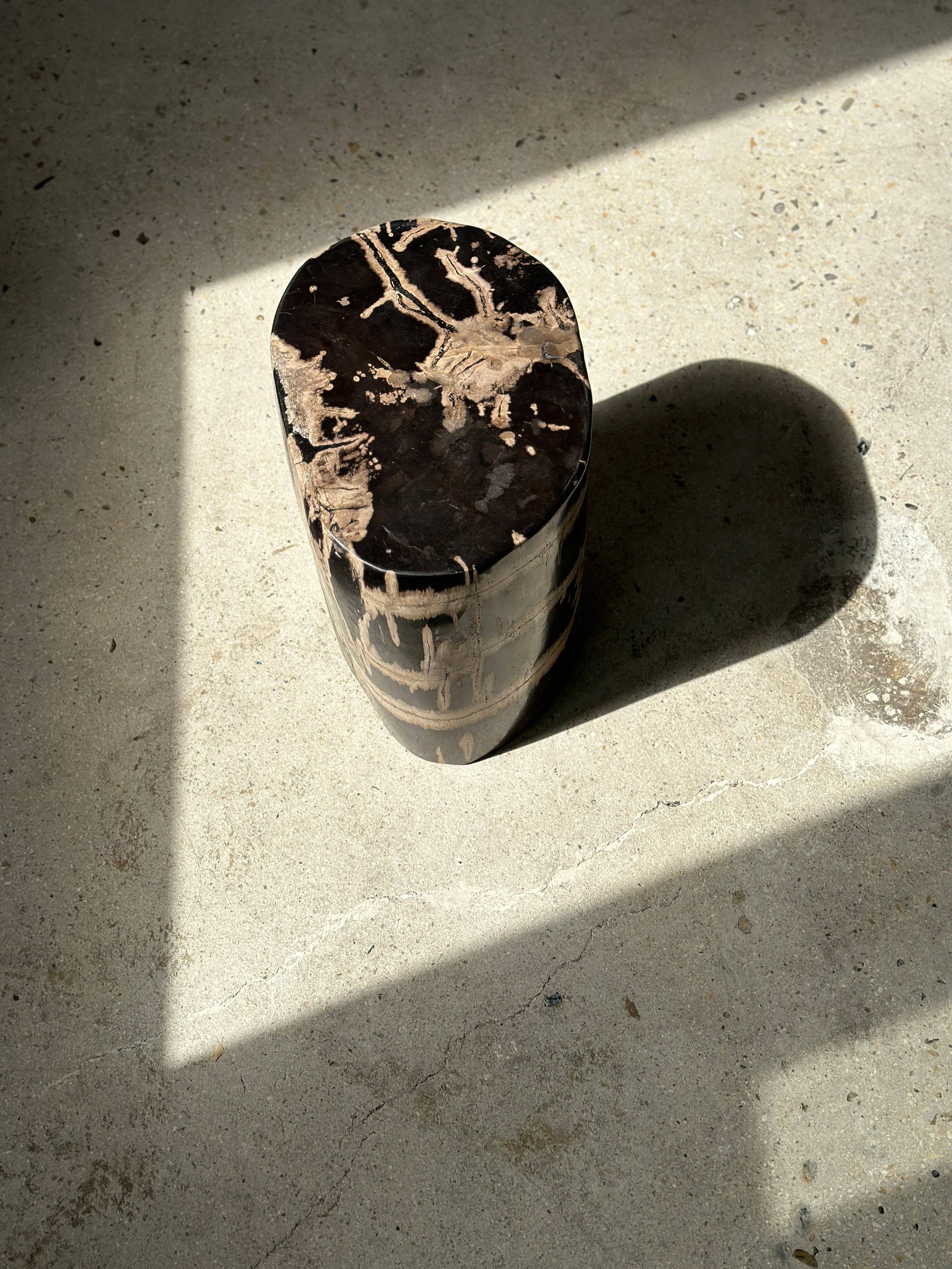 Office Objets - Vente Tables d'appoint - Table d'appoint en bois pétrifié18