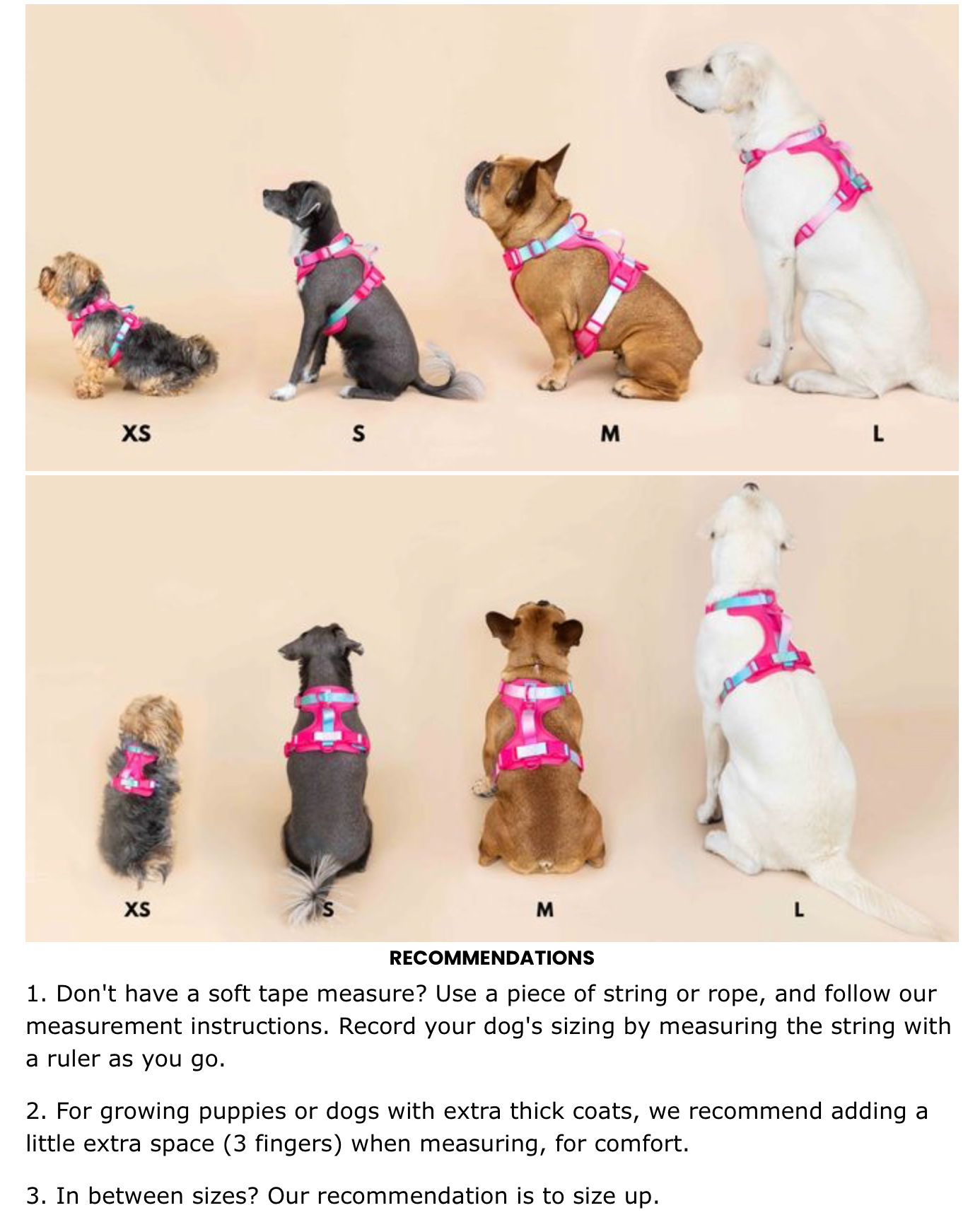 Pink Papyrus | Premium, Durable, & Stylish Dog Products - Wholesale Pet Harness - Dog - Joana Dog Harness | No Pull Dog Harness | Purple Dog Harness12