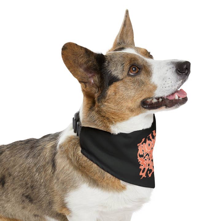 The Sterling Gypsy - Vente Bandana – chien - Collier Bandana pour Animaux Honky Tonk Babe | Accessoire pour Chien de Ferme | Écharpe Amusante pour Chien | Écharpe Western pour Chien | Écharpe Cowgirl pour Chien