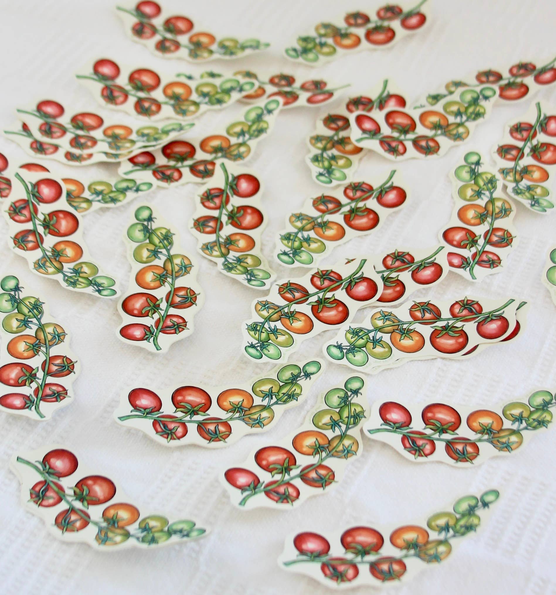 Claire Loon Baldwin Illustration - Wholesale Sticker - Rainbow Cherry Tomato Vine Sticker2
