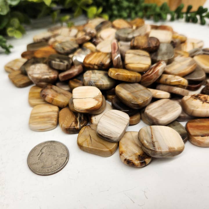 Meraki Gemstones – wholesale Andlig sten/kristall – Planpolerade stenar av förstenat trä, 0,5 kg – 20x25x6 mm1