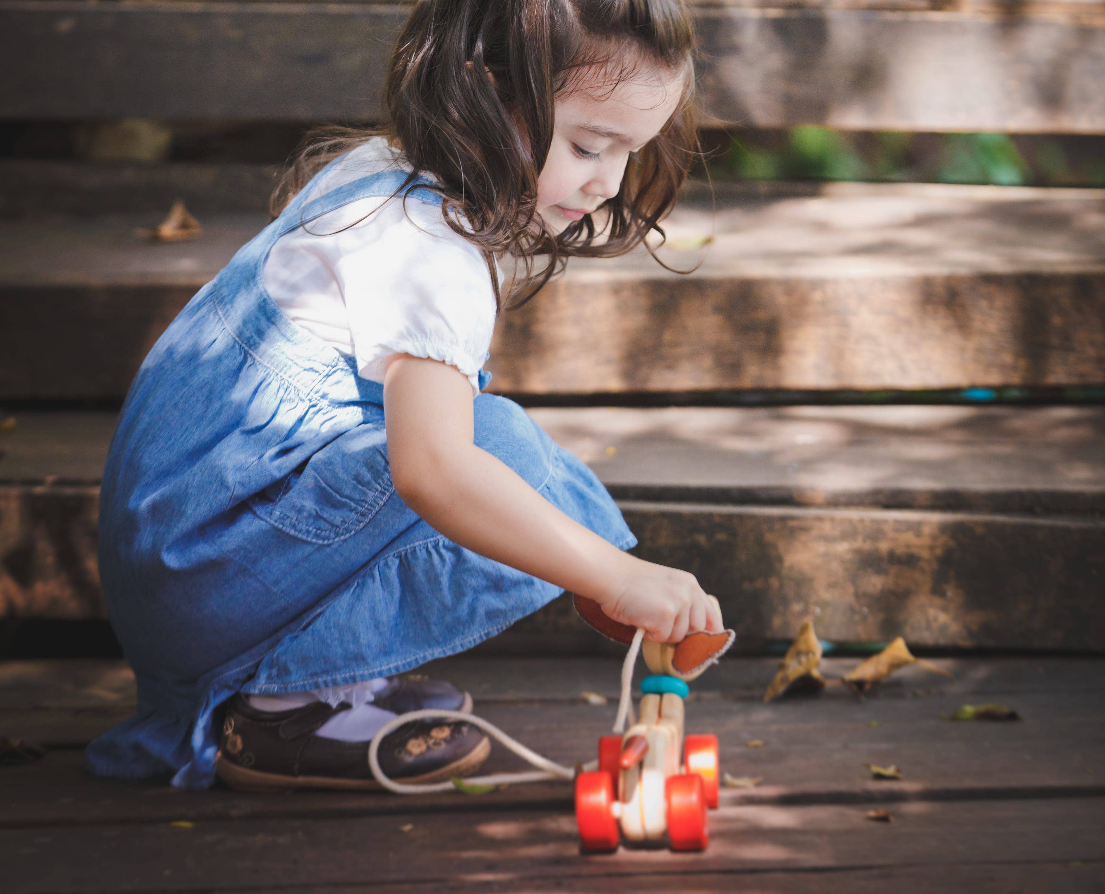 PlanToys - Wholesale Wood Toy - Kids - Happy Puppy2