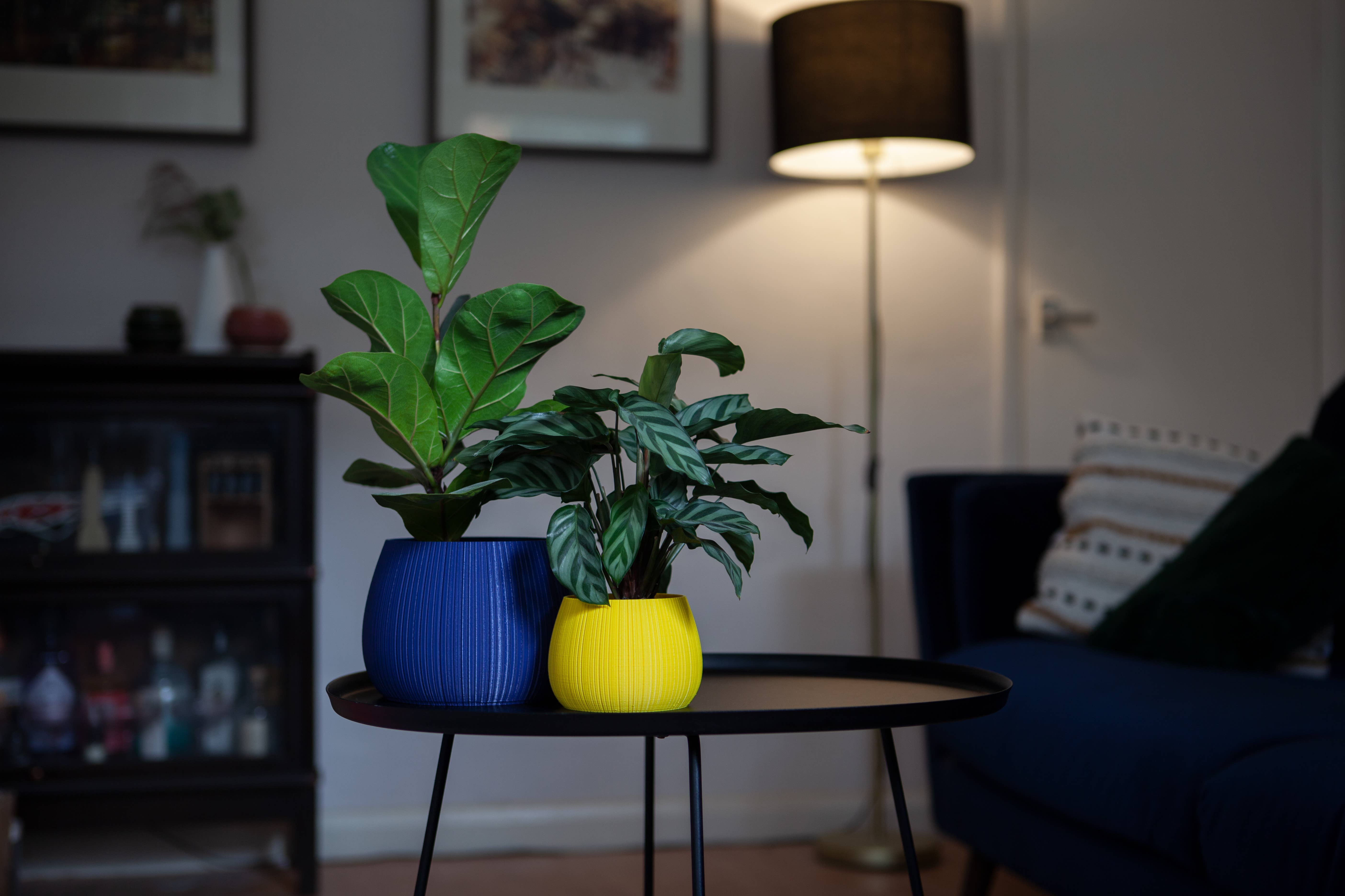 REMOVED BRAND - Vente Pot - Noise - Pot de fleurs imprimé en 3D2