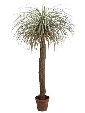 Silk Flower Depot - Wholesale Artificial Plant - 72" Desert Palm Tree in Plastic Nursery Pot Green Gray