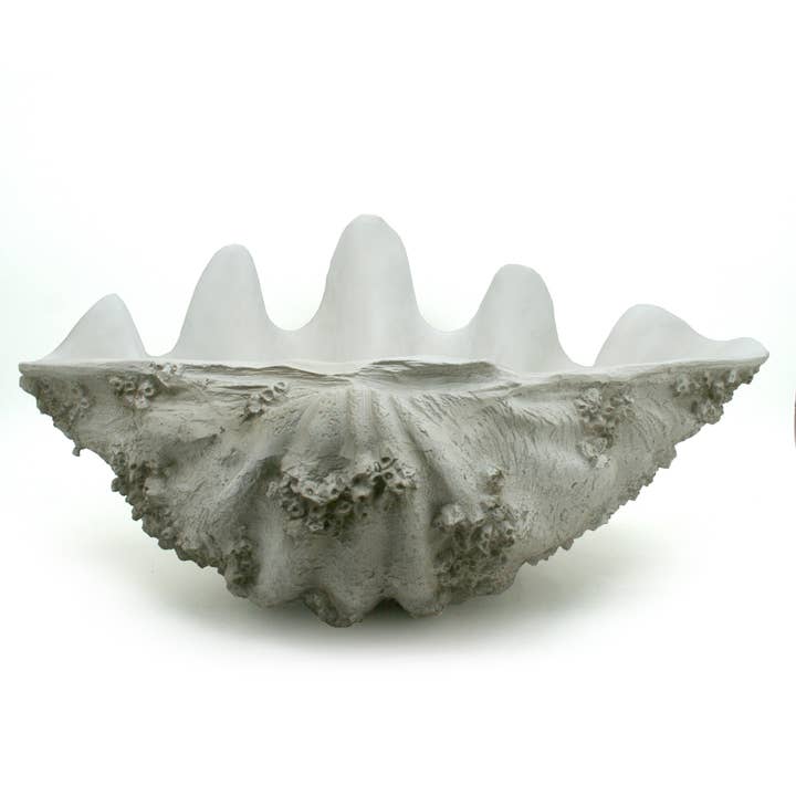 Modern Coastal by Contrast Inc. - Venta al por mayor Bandejas/platos/boles decorativos - Cuenco decorativo XL Gigas con forma de concha de almeja con percebes