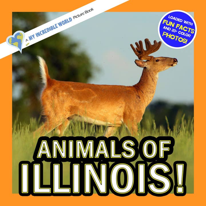Animals of Illinois! A My Incredible World Picture Book for Children for wholesale by My Incredible World