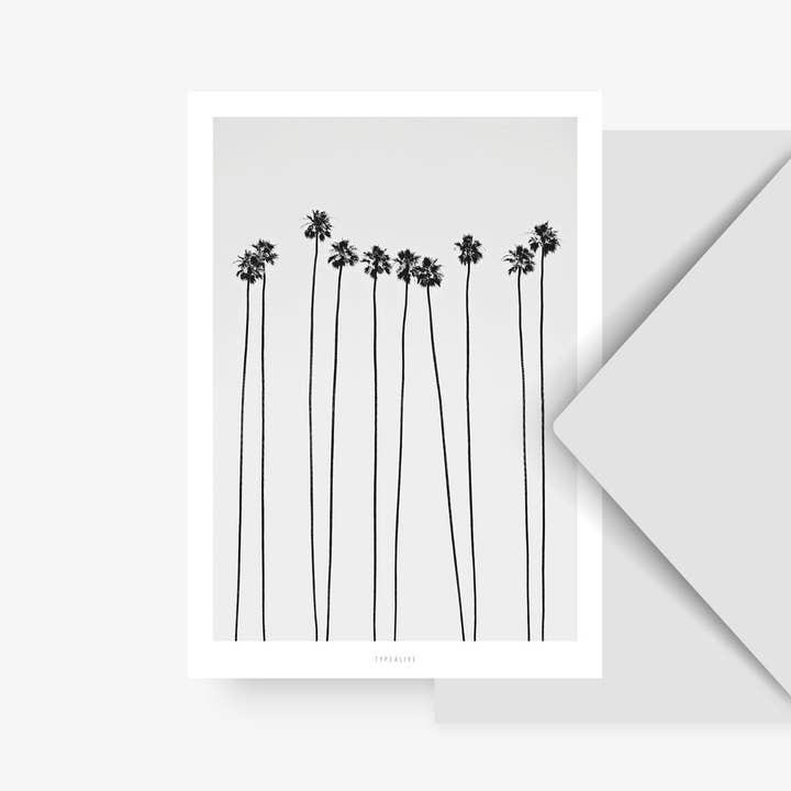 Postcard/ All About Palms No. 5 for wholesale by typealive