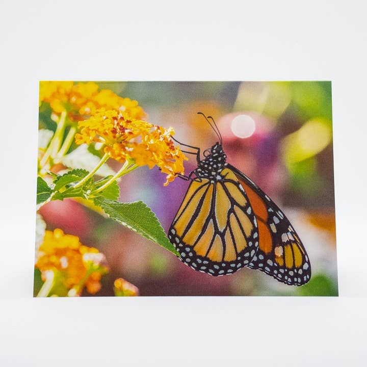 Monarch on Lantana (Blank inside) Greeting Card for wholesale by Wren