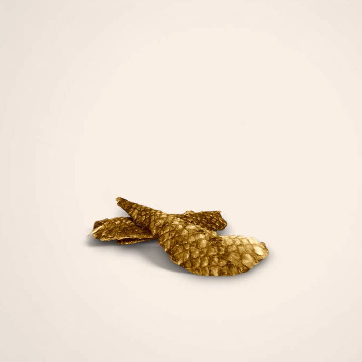 Crispy Fish Skins for wholesale by Woofing Wonders