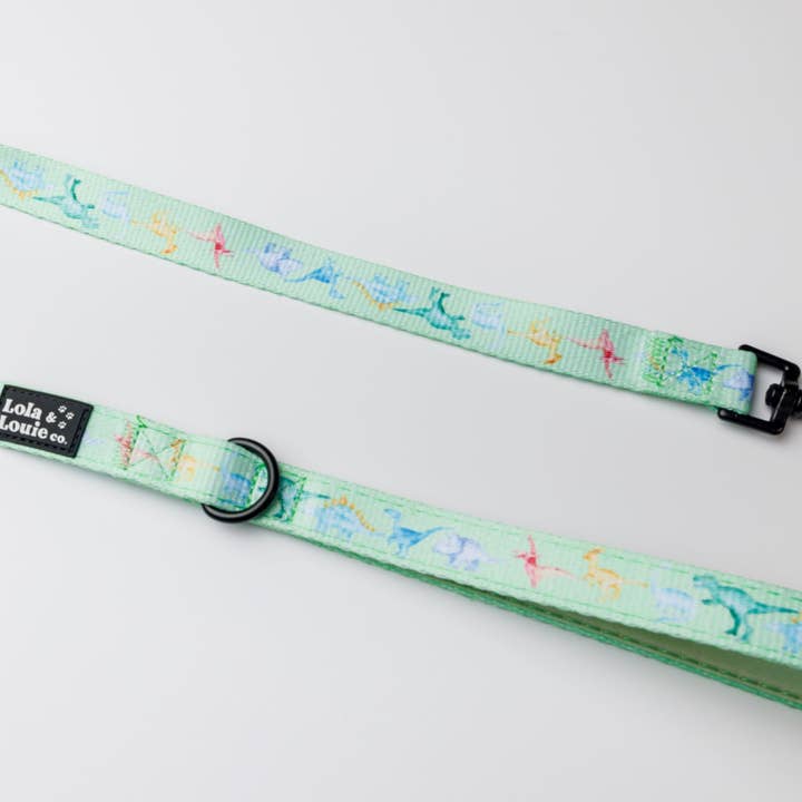 Fabric Leash- Dino Mite! for wholesale by Lola & Louie co.