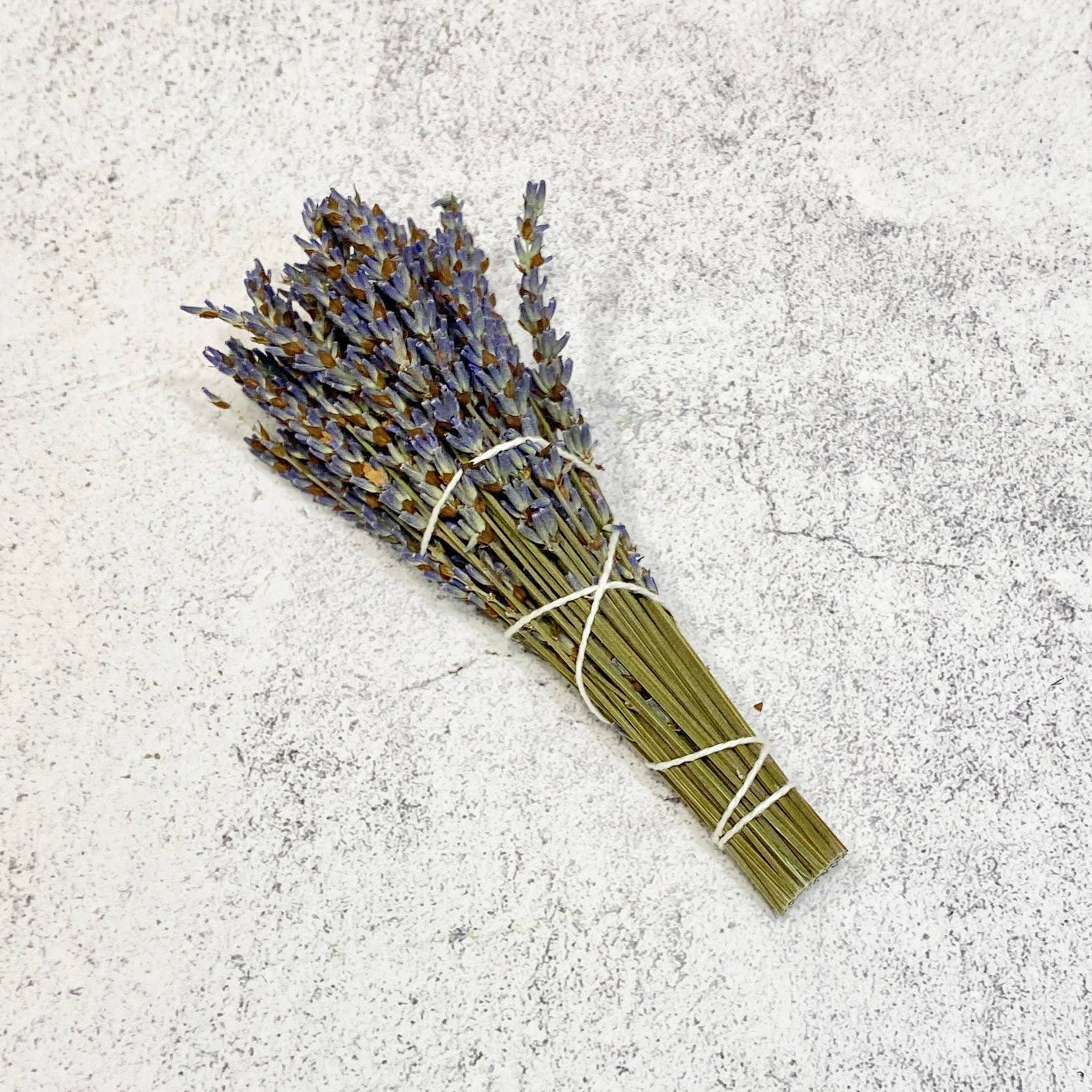 Oakwind Hollow - Venta al por mayor Salvia - Paquete Lavender Smudge3