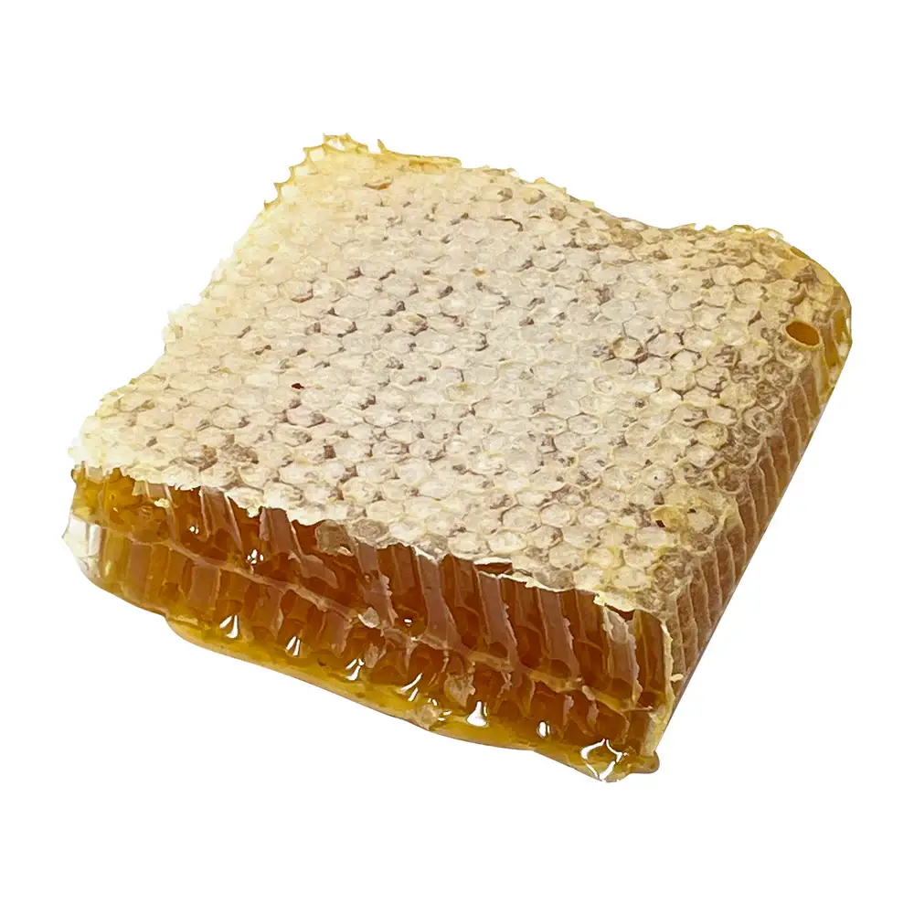 Uncommon Bees - Wholesale Honey - Raw and Unfiltered Cut Honeycomb1