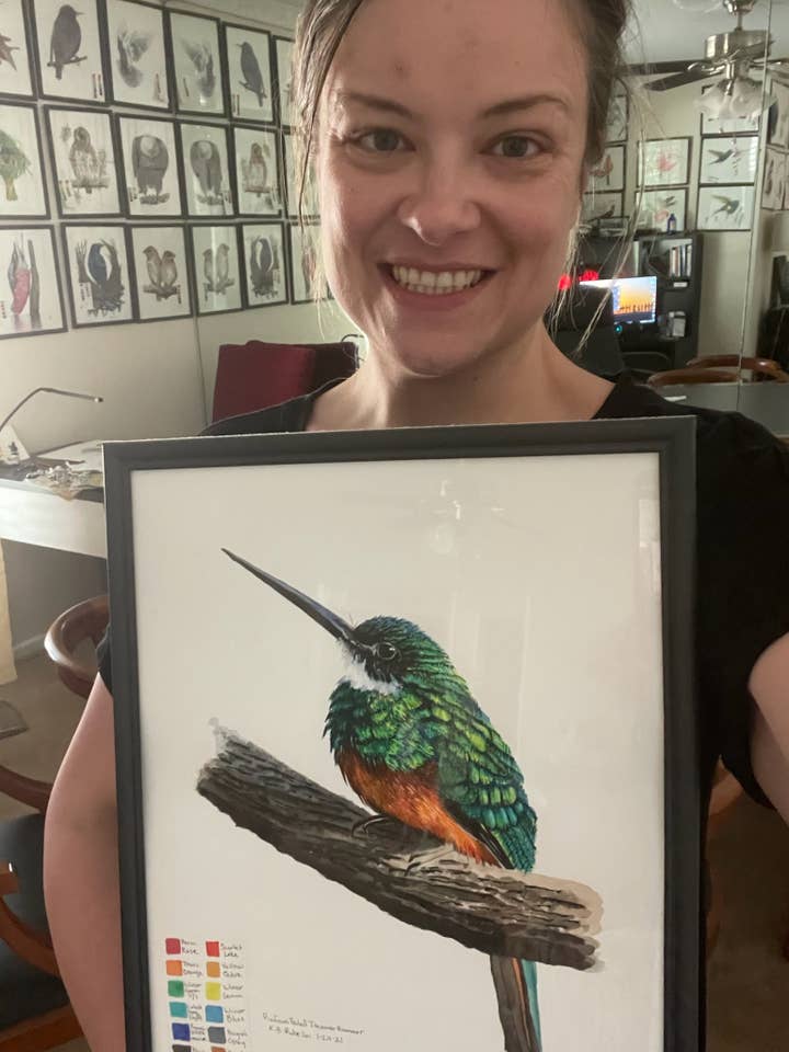 Rufous-tailed Jacamar - Giclee Print for wholesale by Bird Art by KB