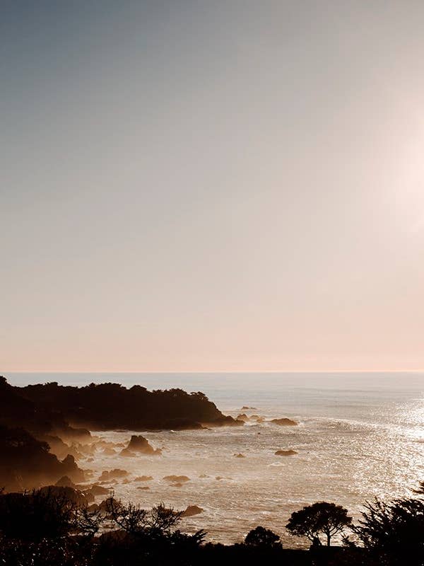 Coastal No. 2 for wholesale by Wilder California