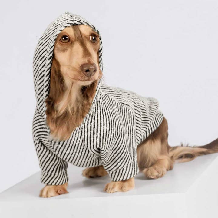 Fitwarm - Wholesale Pet Hoodie - Dog - Silver Striped Dog Hoodie1
