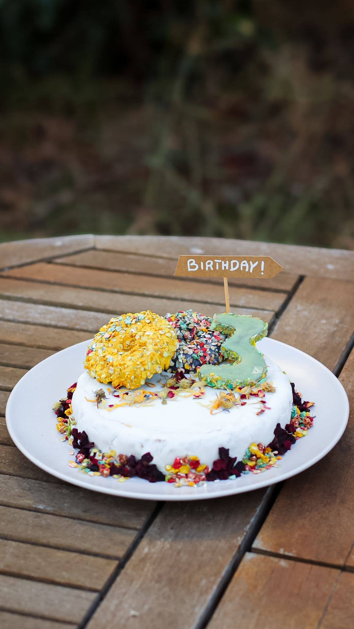 Cooka's Cookies - Wholesale Pet Treats - Dog - Rainbow Dogfetti - Cake and Food Sprinklers8