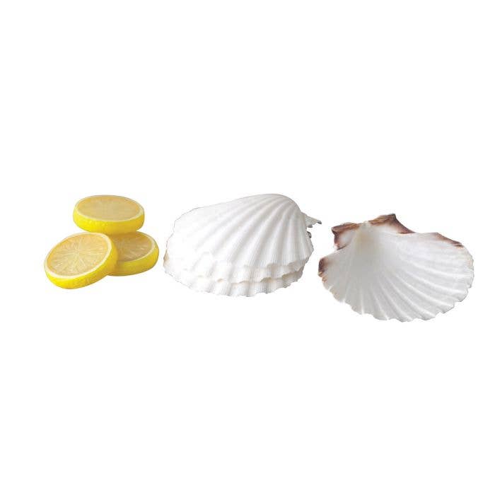 HIC - Harold Import Co. - Wholesale Kitchen Tool/Gadget - Maine Man Natural Baking Shells, 4in4