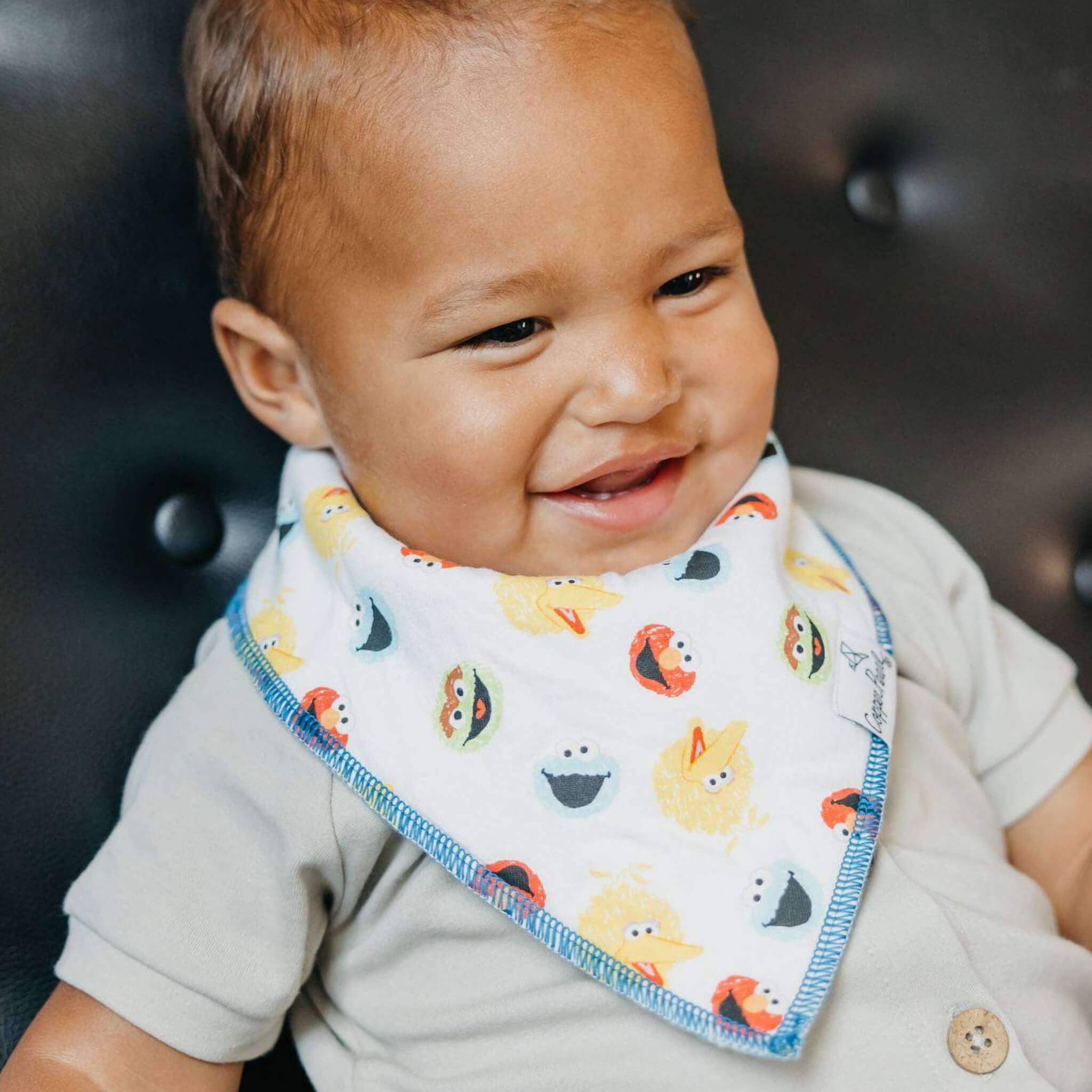 Copper Pearl - Wholesale Bandana Bib - Baby Bandana Bibs - Elmo5