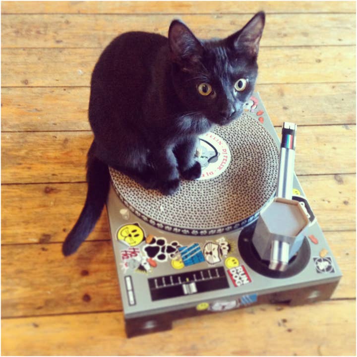 SUCK UK Ltd - USA - Wholesale Pet Scratcher - Cat - Cat Scratch DJ Decks - unleash your cat’s inner DJ7