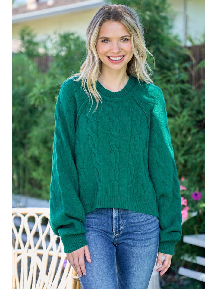 Nicabel - Wholesale Knit Sweater - Women's - Plus raglan sleeve cable knit sweater-PSW94197