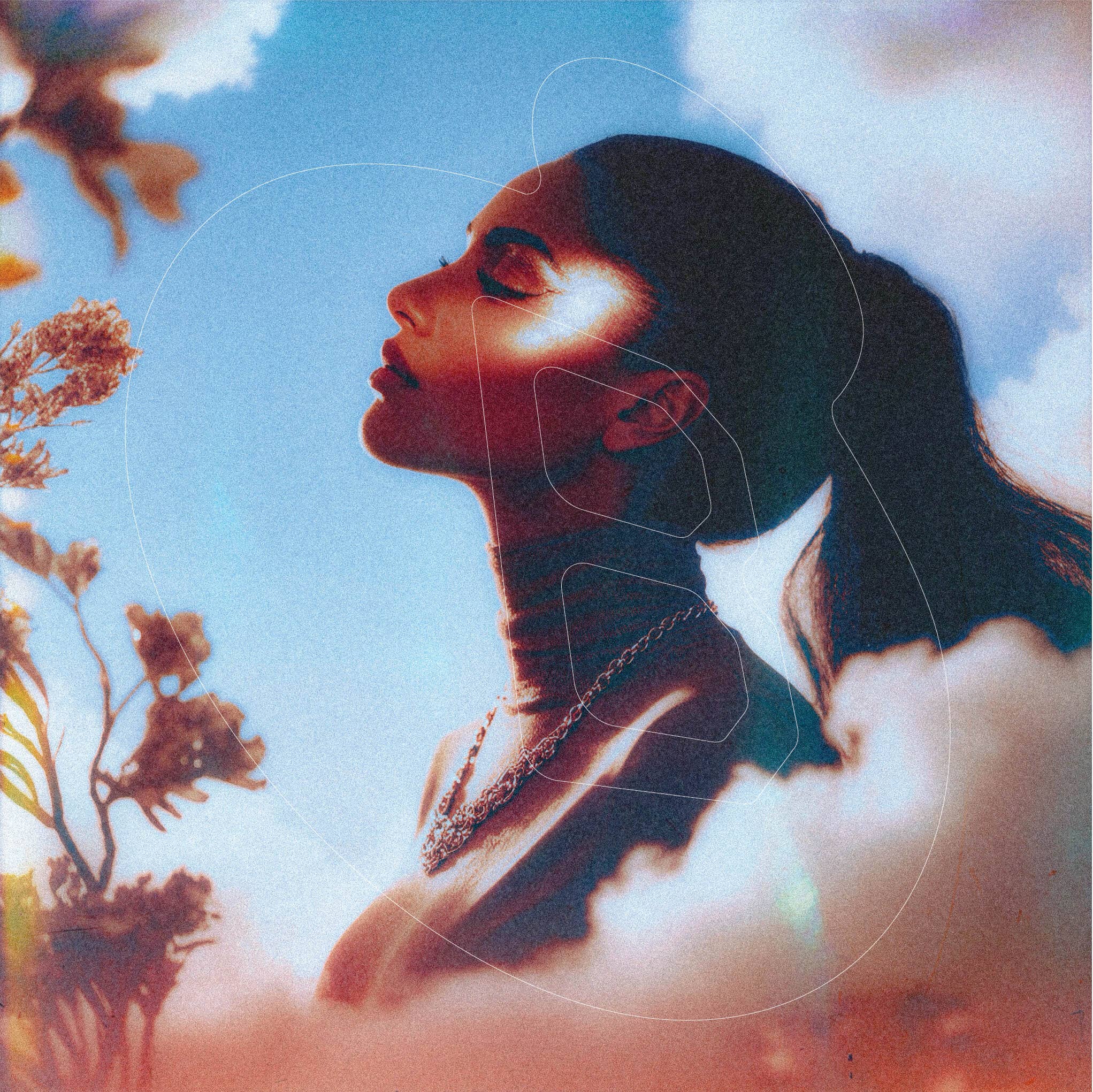 Biology Functional Fragrances - Vente Parfums à bille - FLOW – Ambre Vanille | Huile de Parfum Naturelle à Bille3