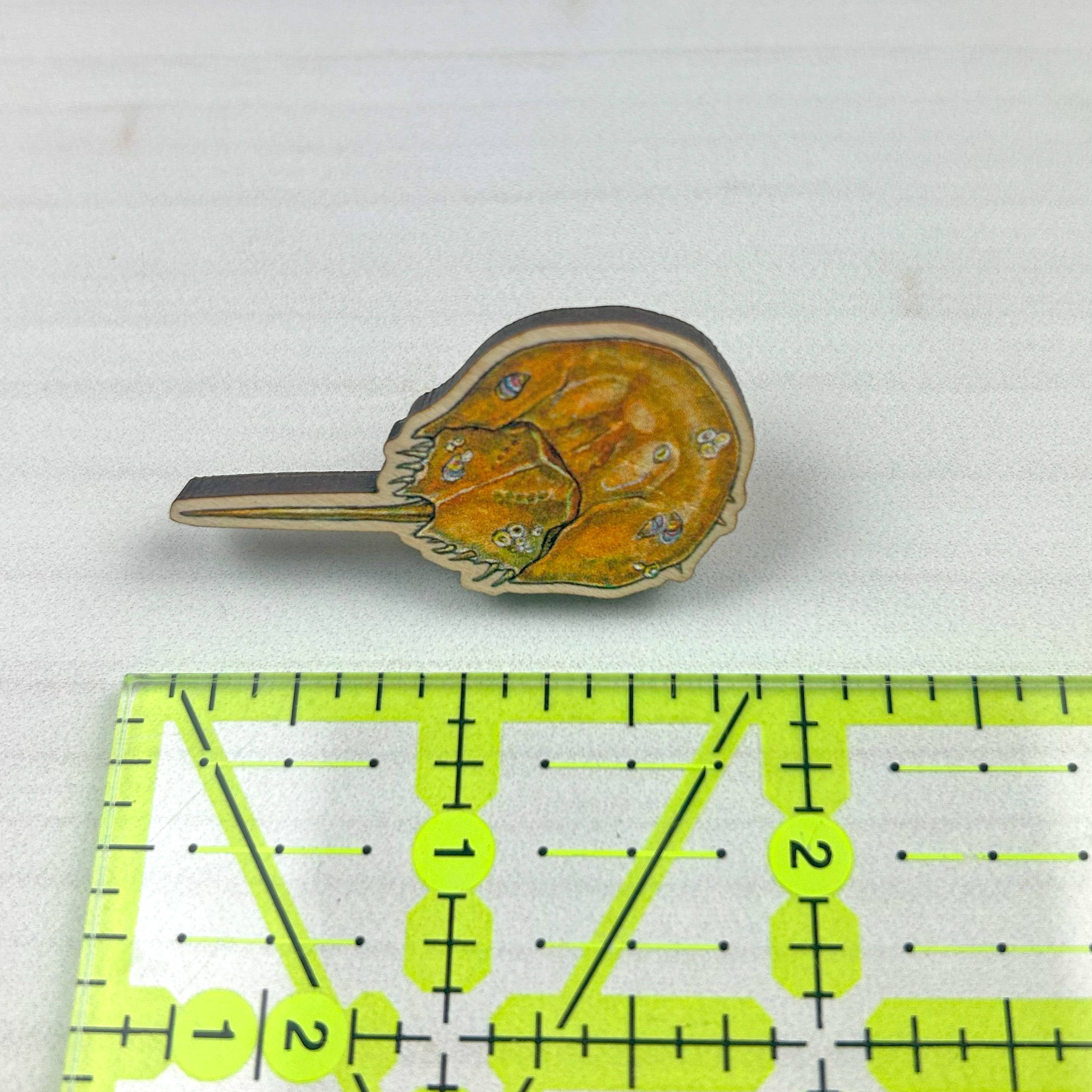 Sarah Draws Things - Wholesale Lapel Pin/Button - Horseshoe Crab - 1.5" illustrated wooden pin4