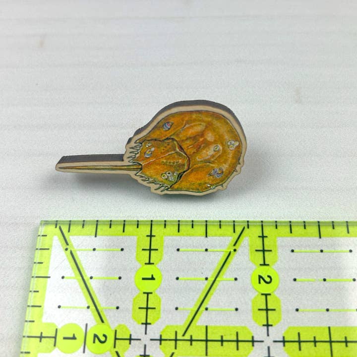 Sarah Draws Things - Wholesale Lapel Pin/Button - Horseshoe Crab - 1.5" illustrated wooden pin4