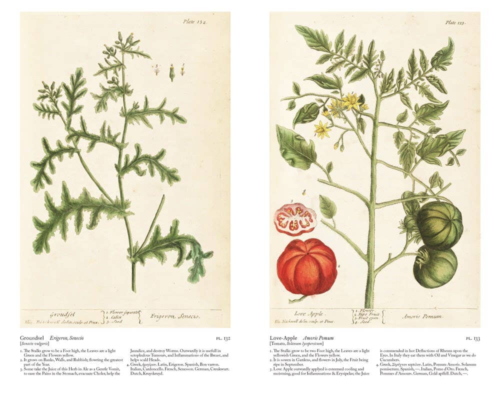 W. W. Norton - Wholesale Nature & Outdoors - A Curious Herbal: Elizabeth Blackwell's Pioneering8