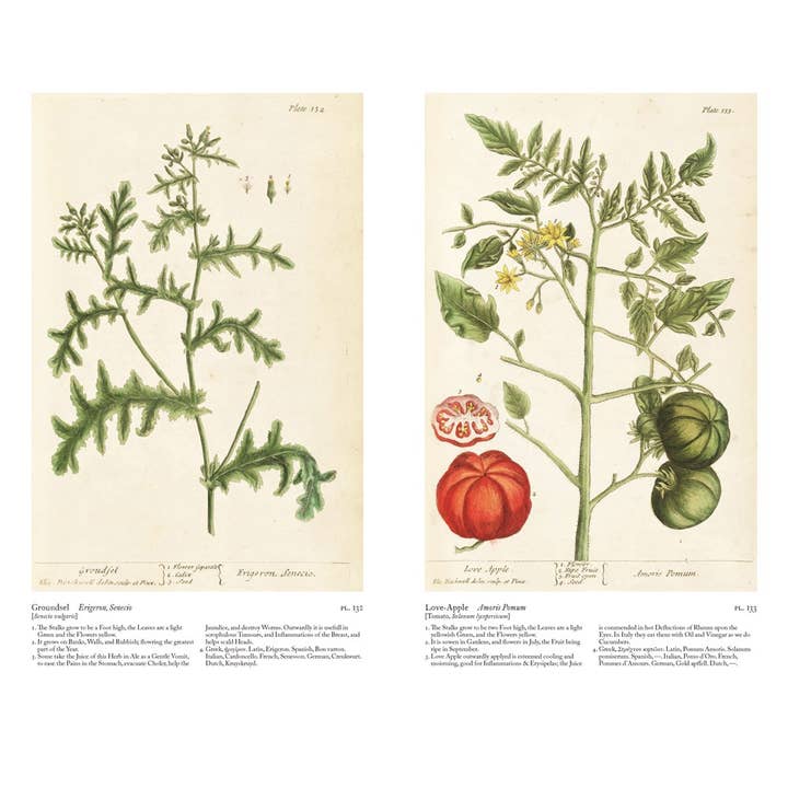 W. W. Norton - Wholesale Nature & Outdoors - A Curious Herbal: Elizabeth Blackwell's Pioneering8