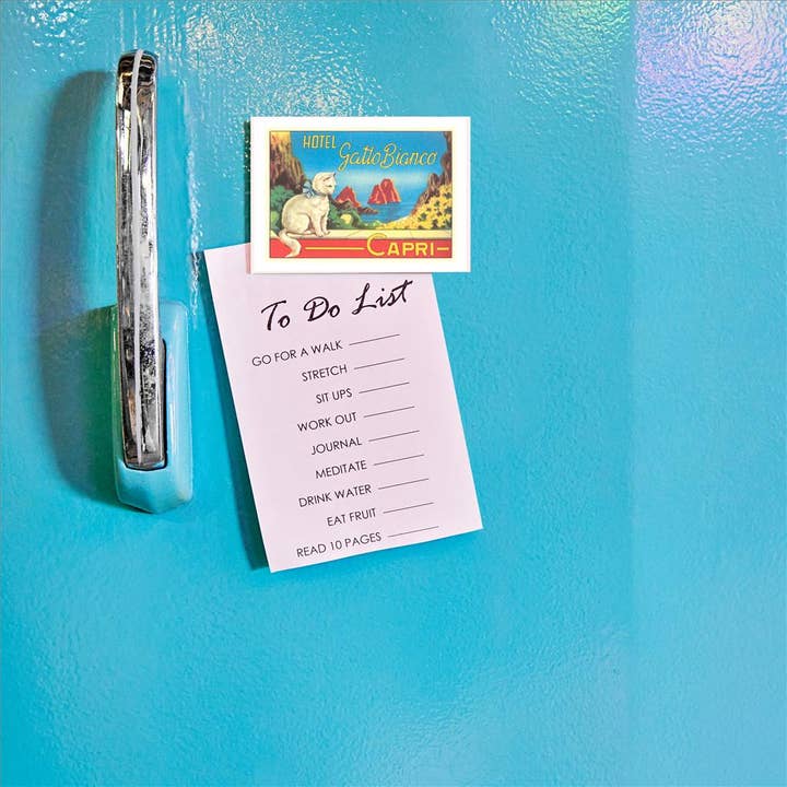 Found Image Press - Wholesale Magnet - Magnet TR-326 Hotel Gatto Bianco1