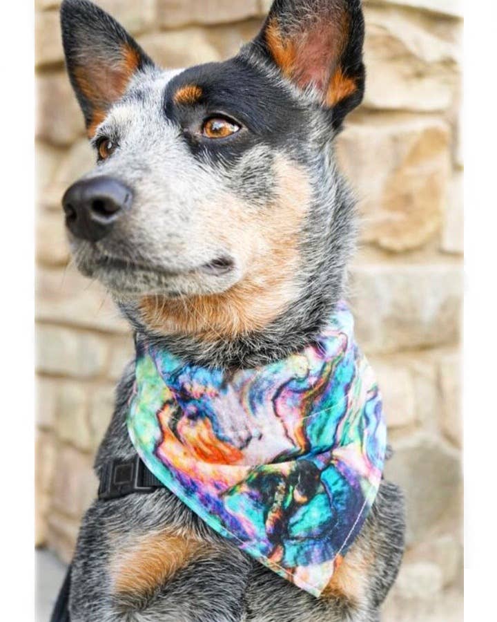 Woofingtons & Company – wholesale Pet bandana – Dog – Rainbow Oil Slick Over The Collar Dog Bandana -Last Chance0