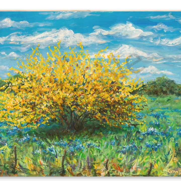 Texas Huisache en bois de Bluebonnets pour la vente par Gena Destri