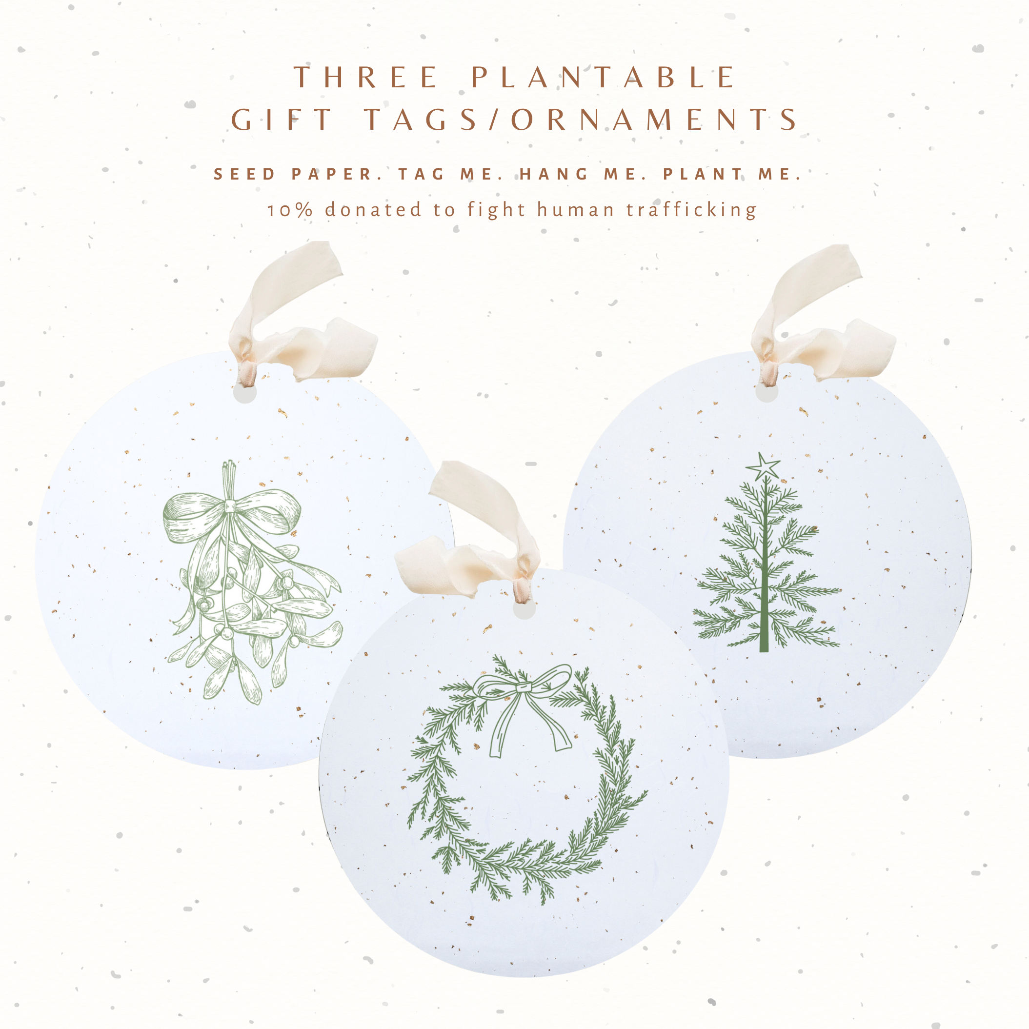 Paper Baristas - Wholesale Ornament Set - Plantable Seed Gift Tags / Ornaments Set of 3: Greenery1