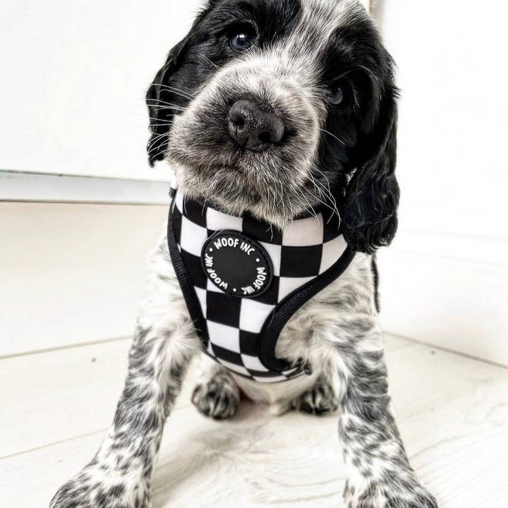 WOOF INC – Großhandel Haustiergeschirr – Hund – Verstellbares Hundegeschirr in Schwarz und Weiß mit Schachbrettmuster4