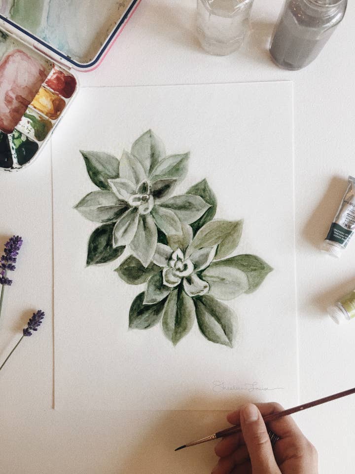 Sedum Sukkulenter Akvarel Maleri — Print for engroshandel hos Shealeen Louise