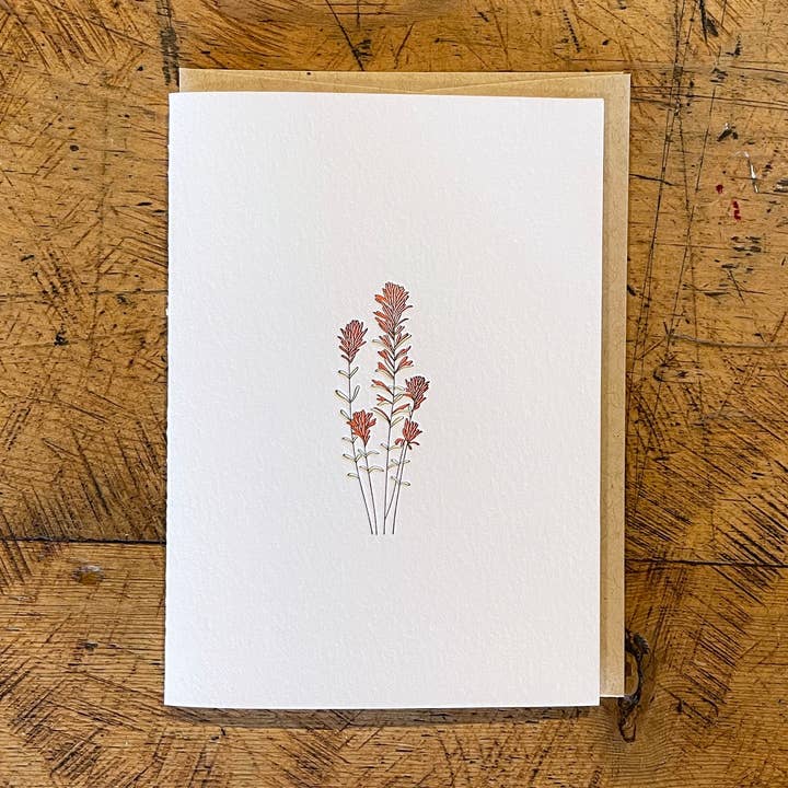 Desert Paintbrush Wildflower Letterpress Card for wholesale by Green Bird Press