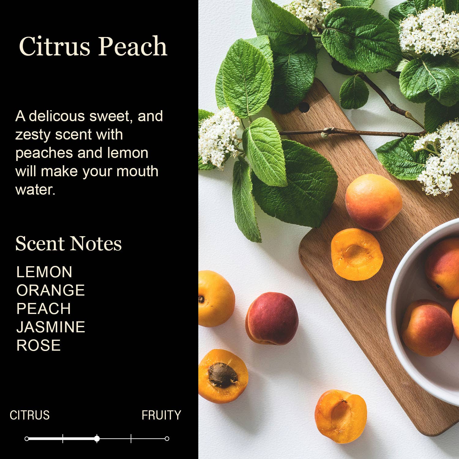 Cedar Crate Market - Wholesale Jar/Filled Candle - Funny Candle | A Wise Woman Once Said Fuck This Shit1