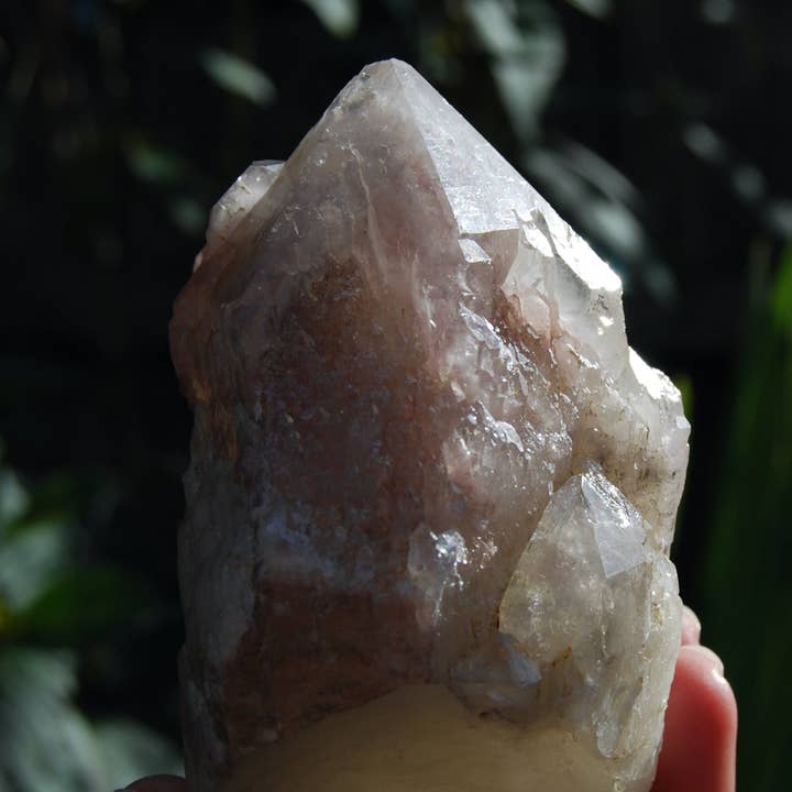 Caspar Curiosities - Wholesale Spiritual Stone/Crystal - 5in 1lb XL ET Hematoid Quartz Crystal Cathedral Point, Record Keepers, Raw Red Hematite Quartz, Zimbabwe lg19