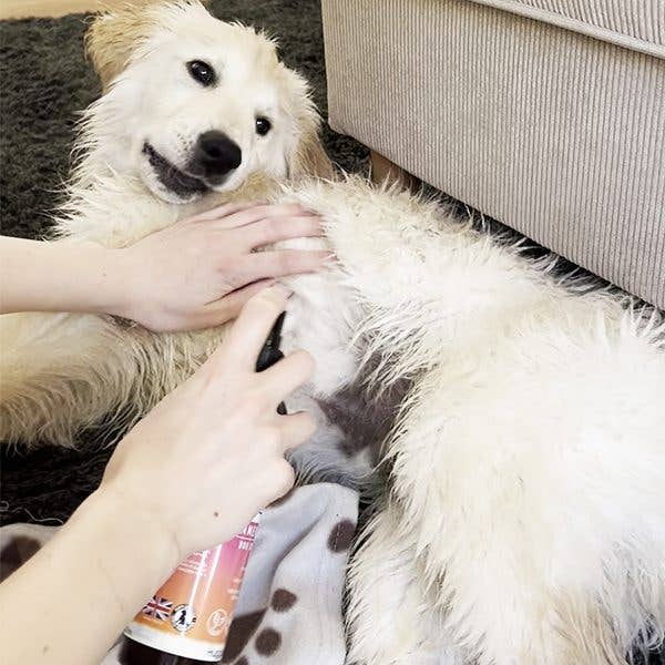 HugglePets – wholesale Pet spray – Dog – HugglePets Bubbly Tails Dog Cologne19