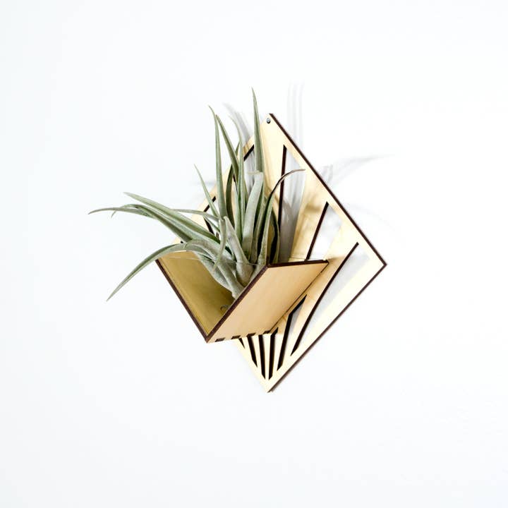 LIGHT RAZOR DESIGN STUDIO - Wholesale Wall planter - Air Plant Holder / Quadrate Wall Hanging Planter 2103
