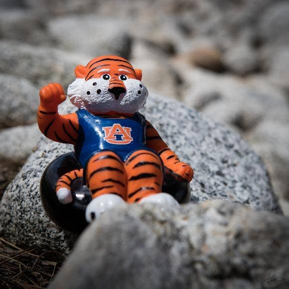 Rubber Tubbers - Wholesale Bath Toy - Baby - Auburn University Tigers - Aubie - Premium Bath Toy Collecti6